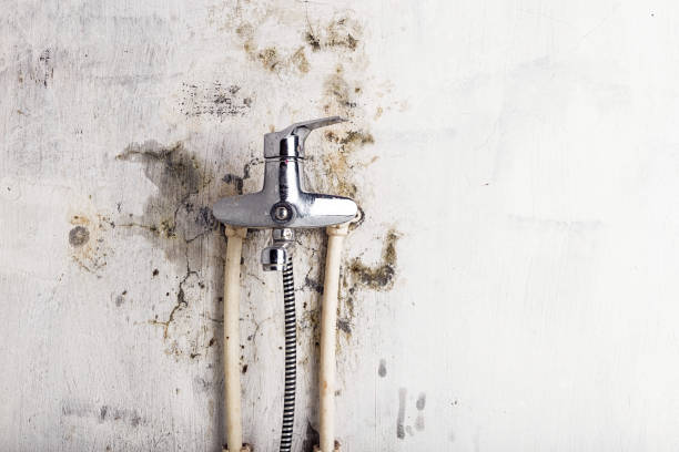 Best Mold Cleaning Services  in Leisure Village, NJ