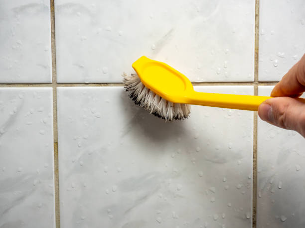 Best Mold Damage Repair  in Leisure Village, NJ