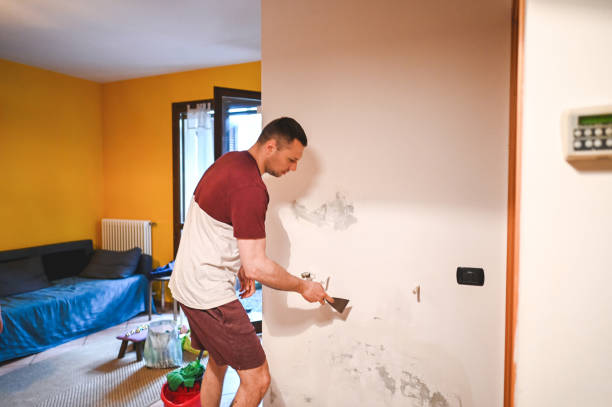 Best Attic Mold Removal  in Leisure Village, NJ